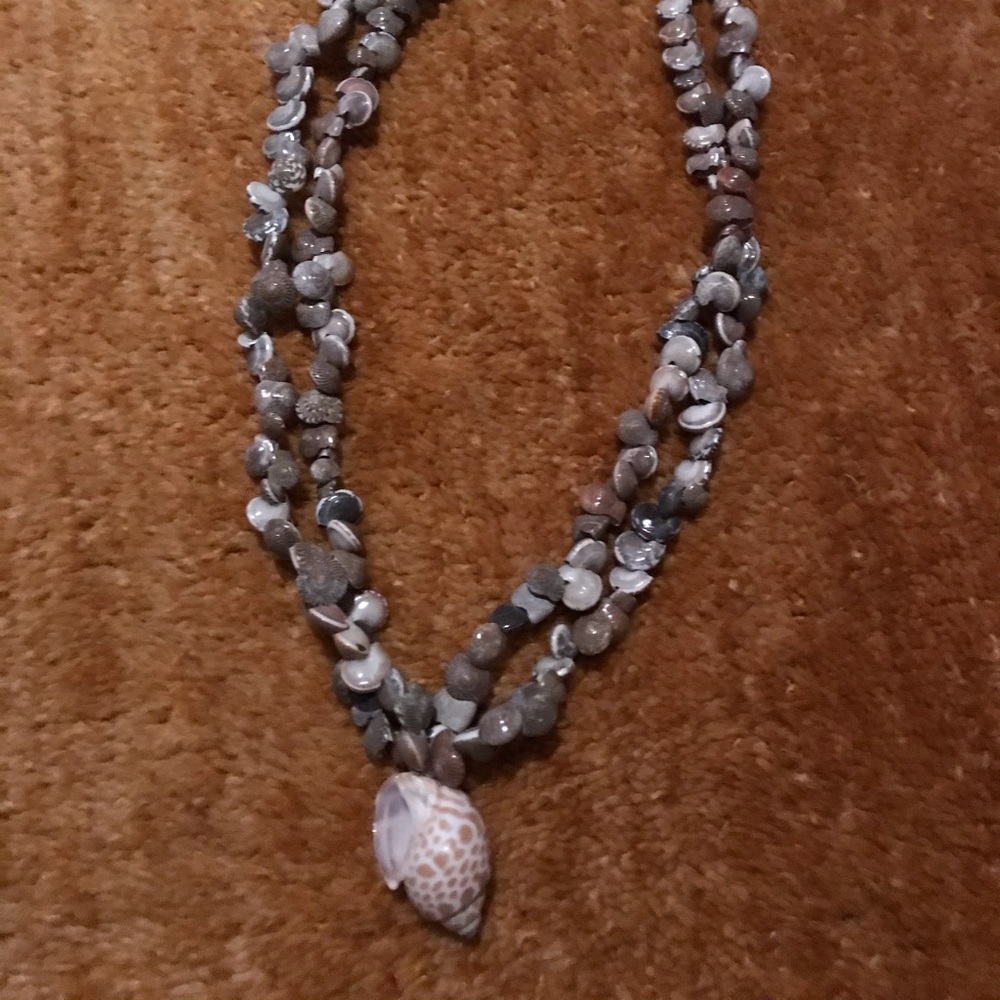 Necklace made from the shell of the sea